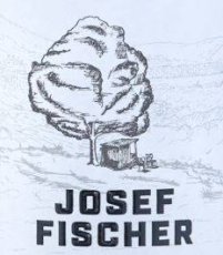 2020 Riesling Smaragd Ried Kreuzberg DAC - Fischer, Josef 